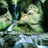 Golestan National Park